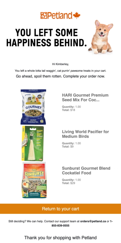 Abandoned Cart email