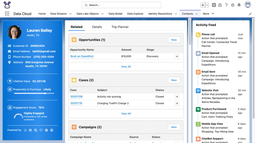 Customer's profile in Salesforce Data Cloud