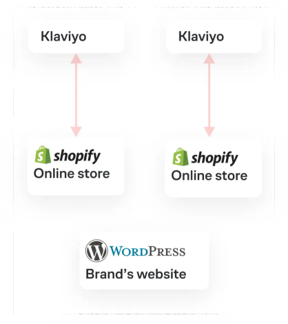 Diagram of Sena’s two separate regional Klaviyo accounts