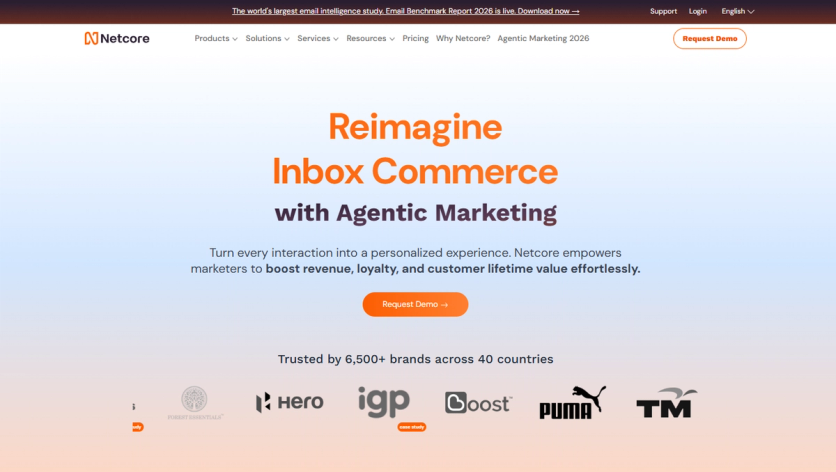 Netcore homepage