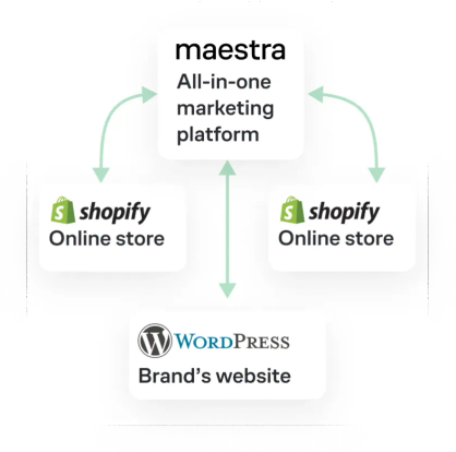 Diagram of Sena unified into one Maestra segmentation hub