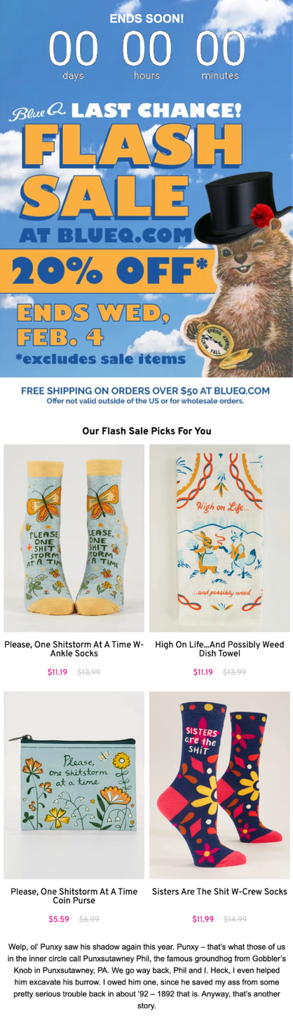 Blue Q's flash sale email with a countdown timer, product recommendations, and free shipping bar