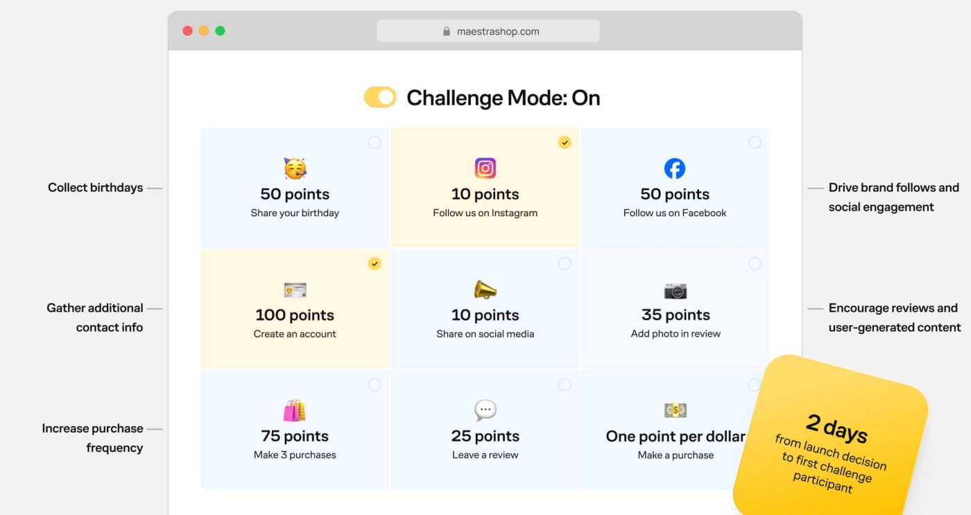 The Maestra platform interface