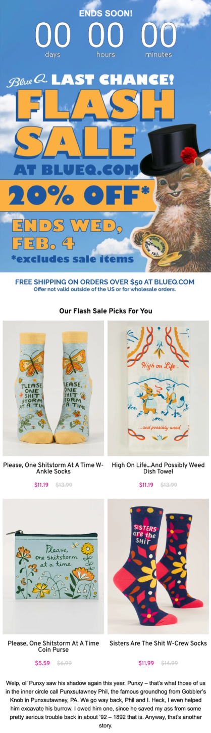 Blue Q last chance flash sale email with countdown timer and product recommendations