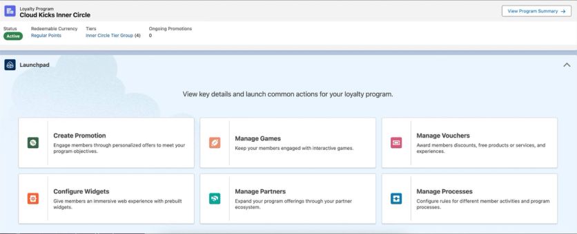 Salesforce Loyalty Management launchpad with promotions, games, vouchers, partners, and processes