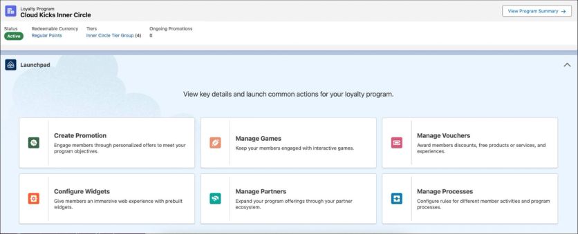 Salesforce Loyalty Management launchpad with promotions, games, vouchers, partners, and processes