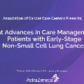 Recent Advances in Care Management for Patients With Early-Stage Non-Small Cell Lung Cancer