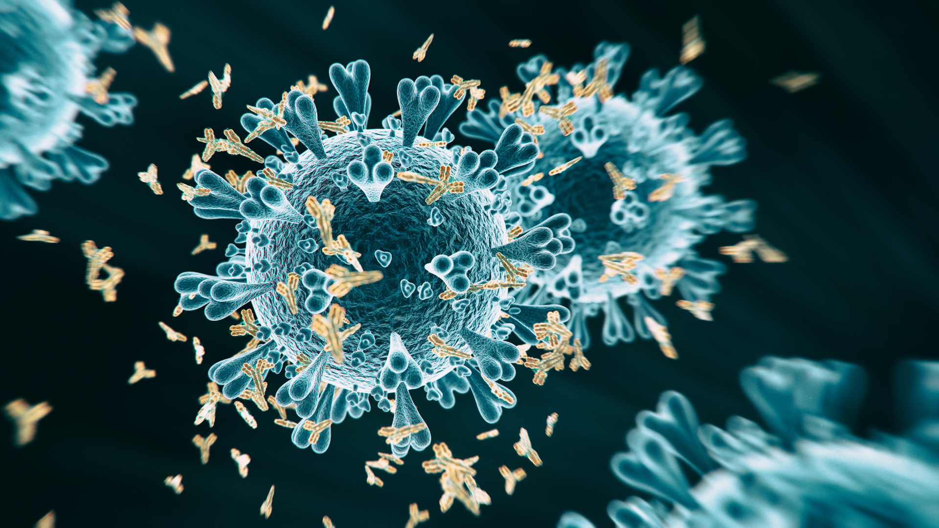 Exploring a Bispecific Antibody for Relapsed or Refractory Multiple Myeloma
