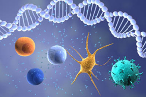 ACCC Tools for Immuno-Oncology Survivorship Care