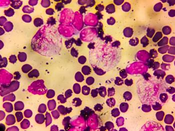 Credit: Arif Biswas | stock.adobe.com