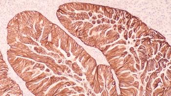 Credit: David A Litman | stock.adobe.com