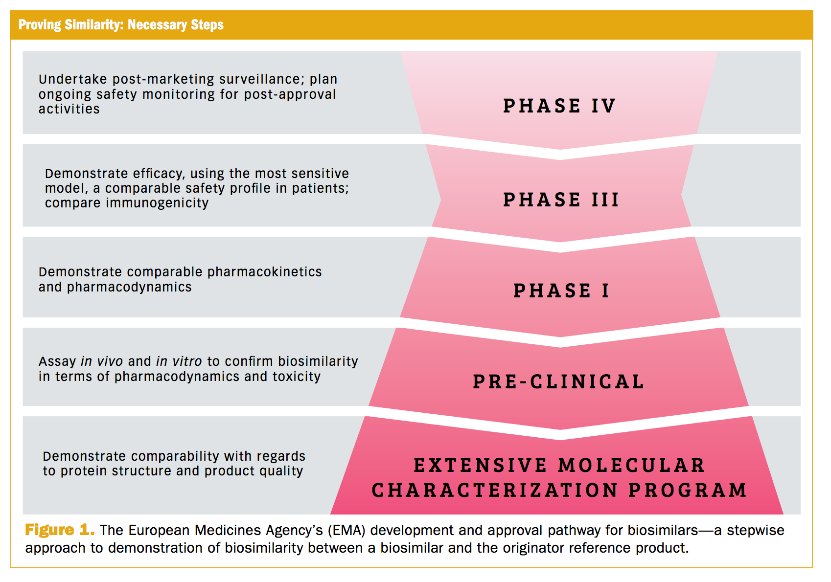 Operational Challenges For Biosimilar Studies
