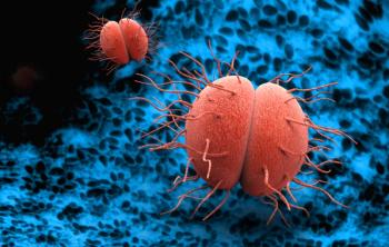 © Giovanni Cancemi - © Giovanni Cancemi - stock.adobe.com.