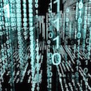 Reducing the Data Burden for Clinical Investigators