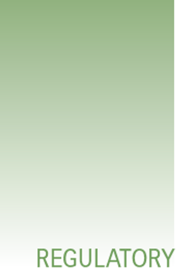 Screen Shot 2019-12-11 at 2.18.15 PM.png