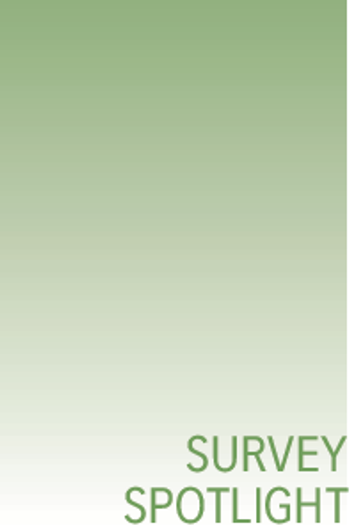 Survey spotlight block.png