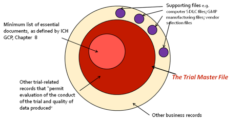 Trial Master File Example TMF Reference Model - The Case for Standards