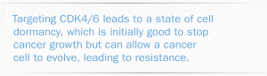Screen Shot 2019-05-13 at 10.13.59 AM.png