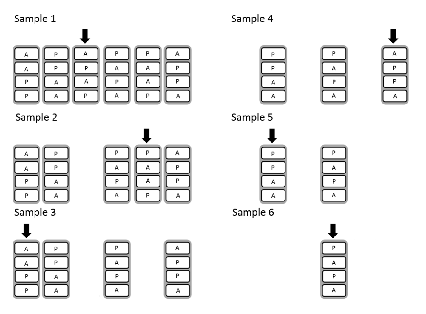 A Comparison of Techniques for Creating Permuted Blocked Randomization ...
