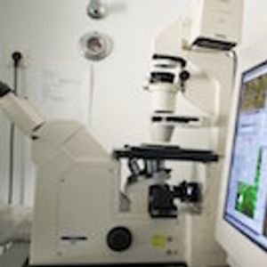 FAQs for Immunotherapy Trials