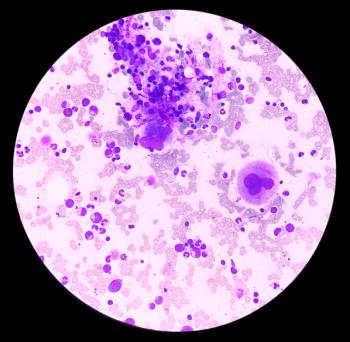 Image credit: MdBabul | stock.adobe.com