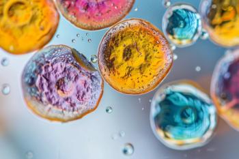 Credit: Tetiana Kasatkina | stock.adobe.com