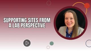Supporting Sites from a Lab Perspective