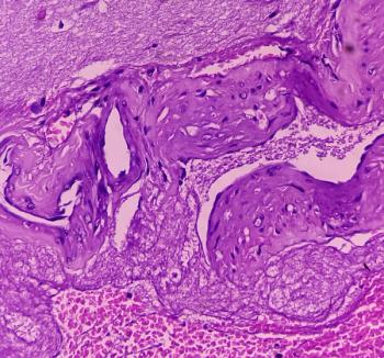 Image credit: MdBabul | stock.adobe.com