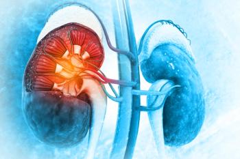 Credit: Crystal light | stock.adobe.com. Human kidneys anatomy structure, kidney disease.