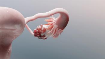 Credit: MohammedElAmine | stock.adobe.com