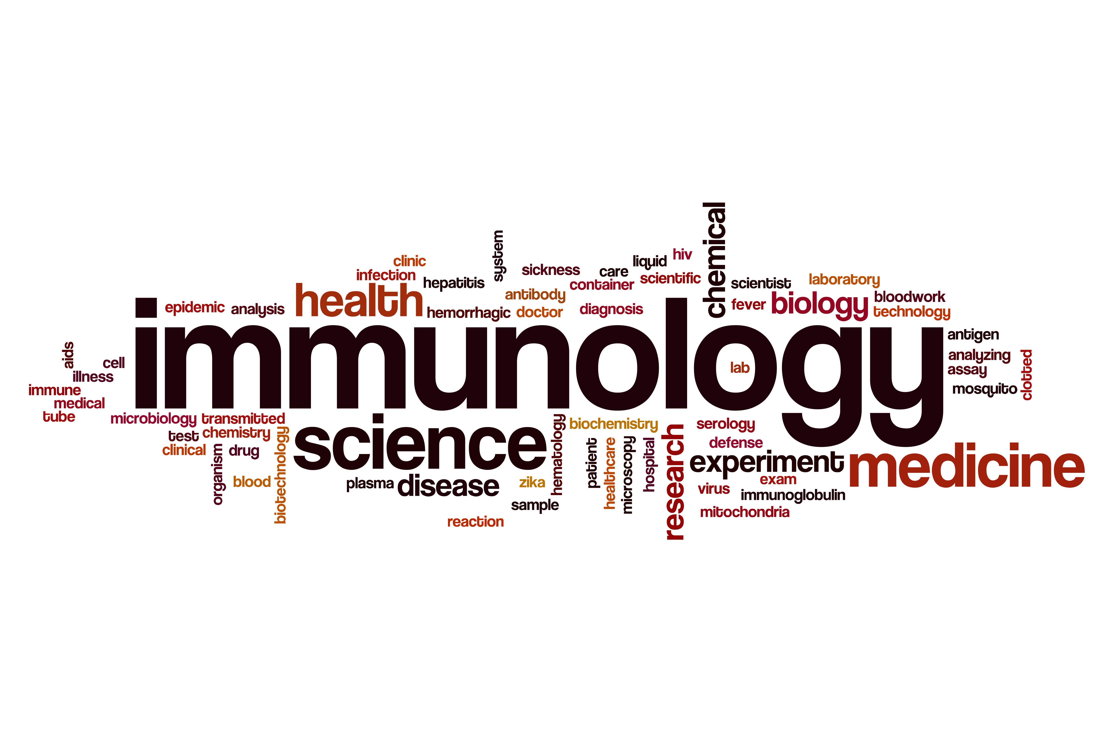 Immunology word cloud | image credit: ibreakstock - stock.adobe.com