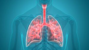 Health Literacy Positively Associated With Health-Related QOL in Patients With COPD