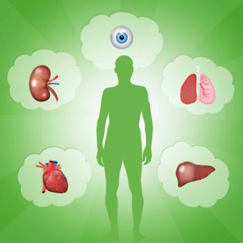 Image of the human body and some organs