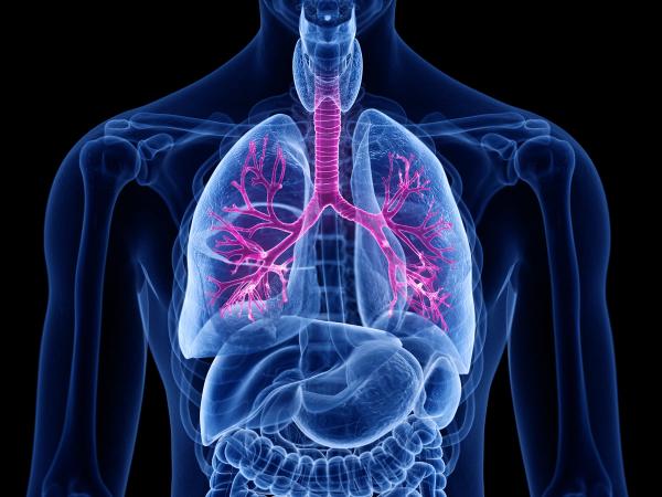 COPD | Image: Sebastian Kaulitzki for AdobeStock