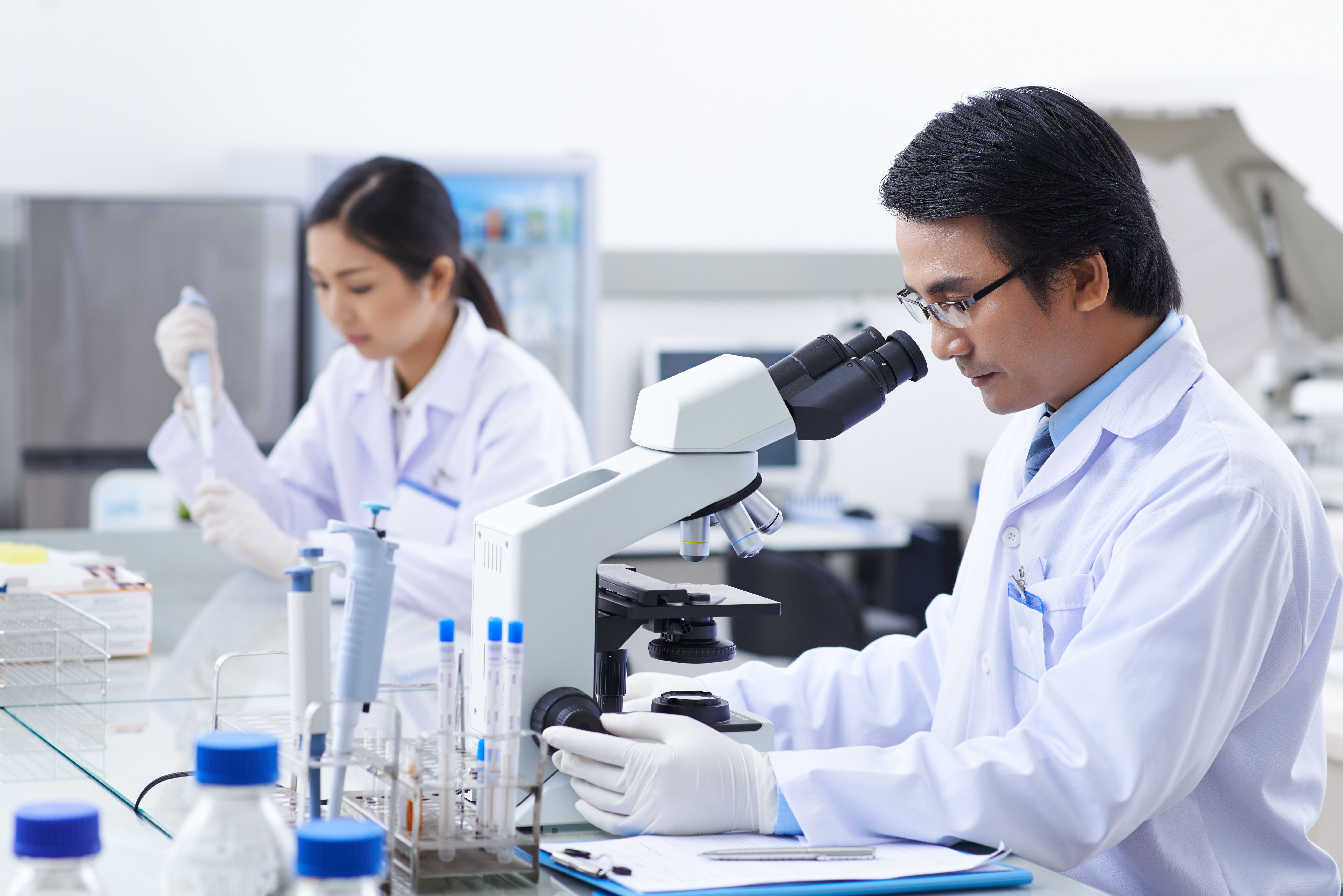 Researcher looking through microscope | Image credit: DragonImages – stock.adobe.com