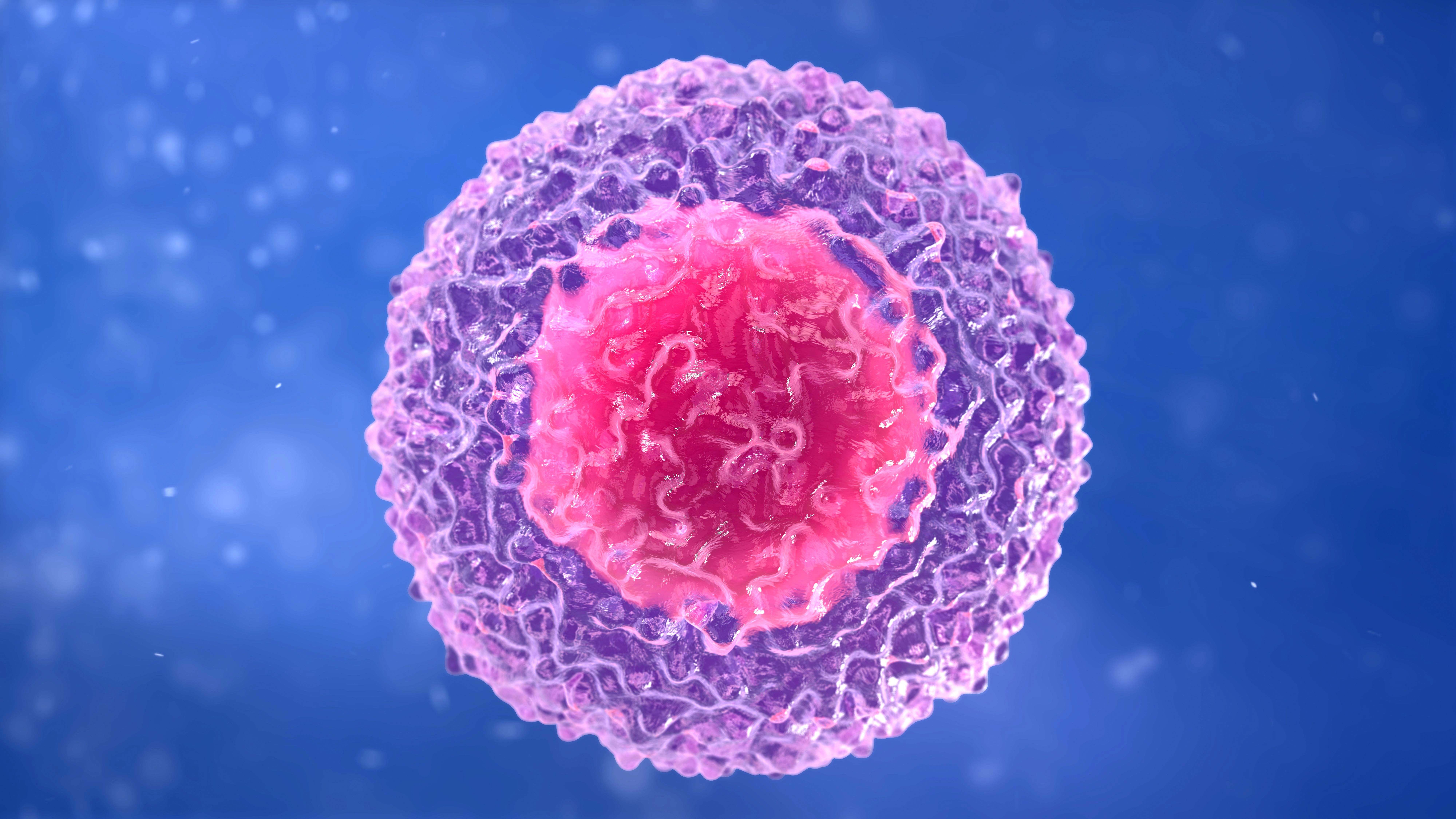 T cell
