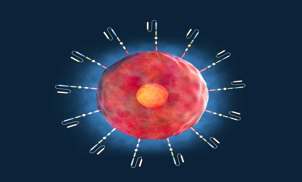 3D rendering of a CAR T cell | Image Credit: Naeblys-stock.adobe.com