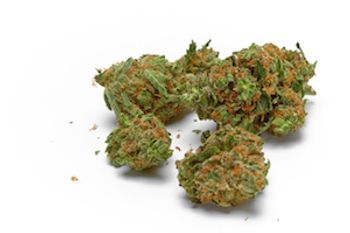 image of cannabis 