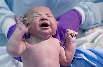 Image of a newborn