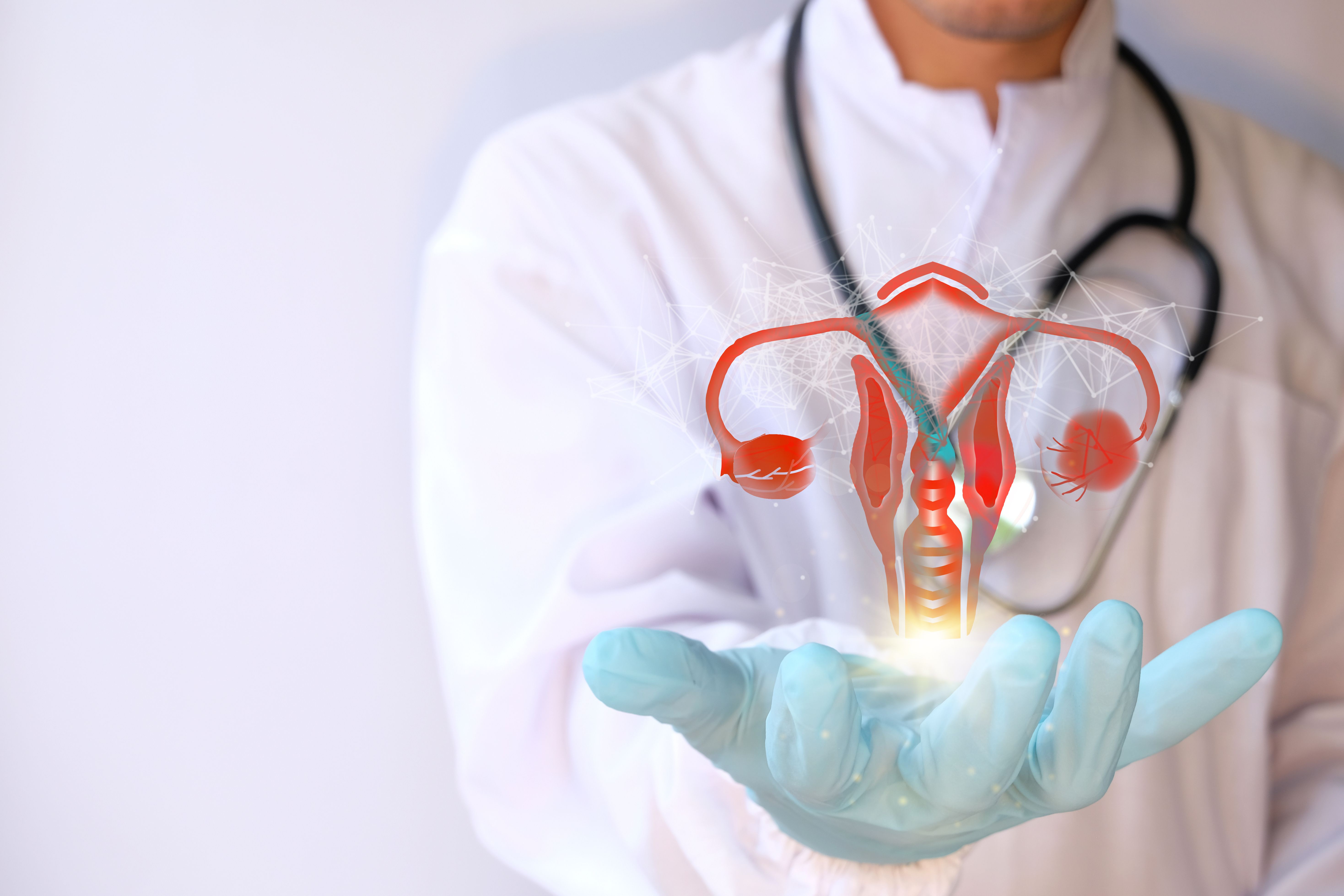 Doctor examines hologram of female uterus | Image Credit: WS Studio 1985 - stock.adobe.com