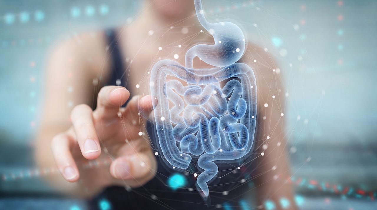 Woman using digital x-ray of human intestine holographic scan projection 3D rendering: © sdecoret - stock.adobe.com