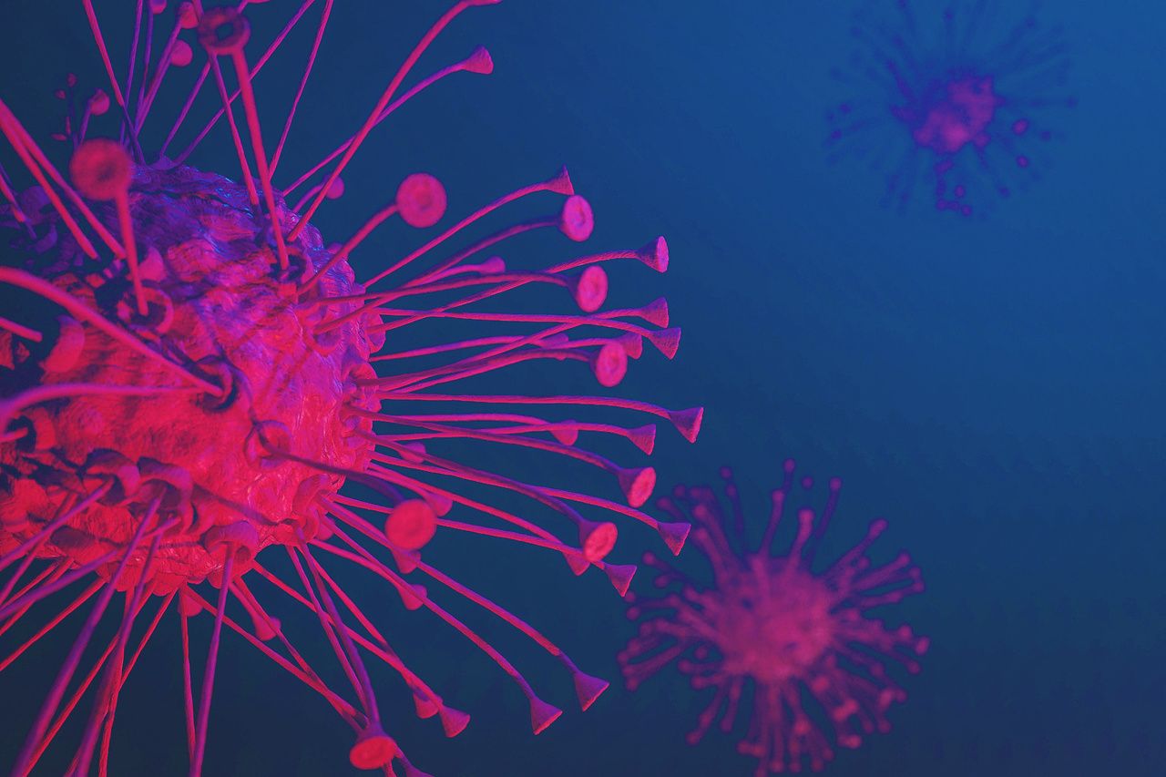 Chimeric antigen receptor T cell