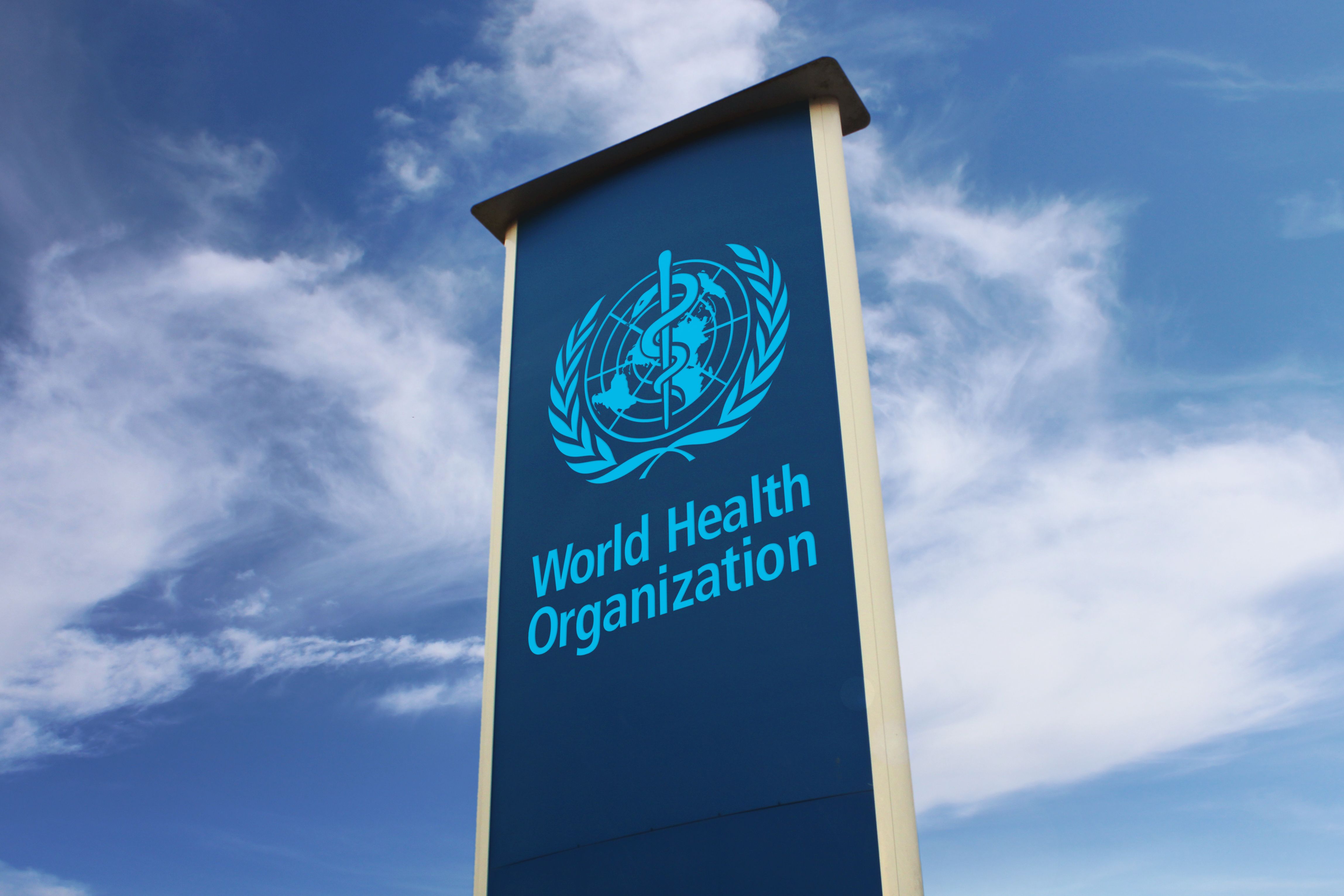 World Health Organization sign | Image credit: CURIOS – stock.adobe.com