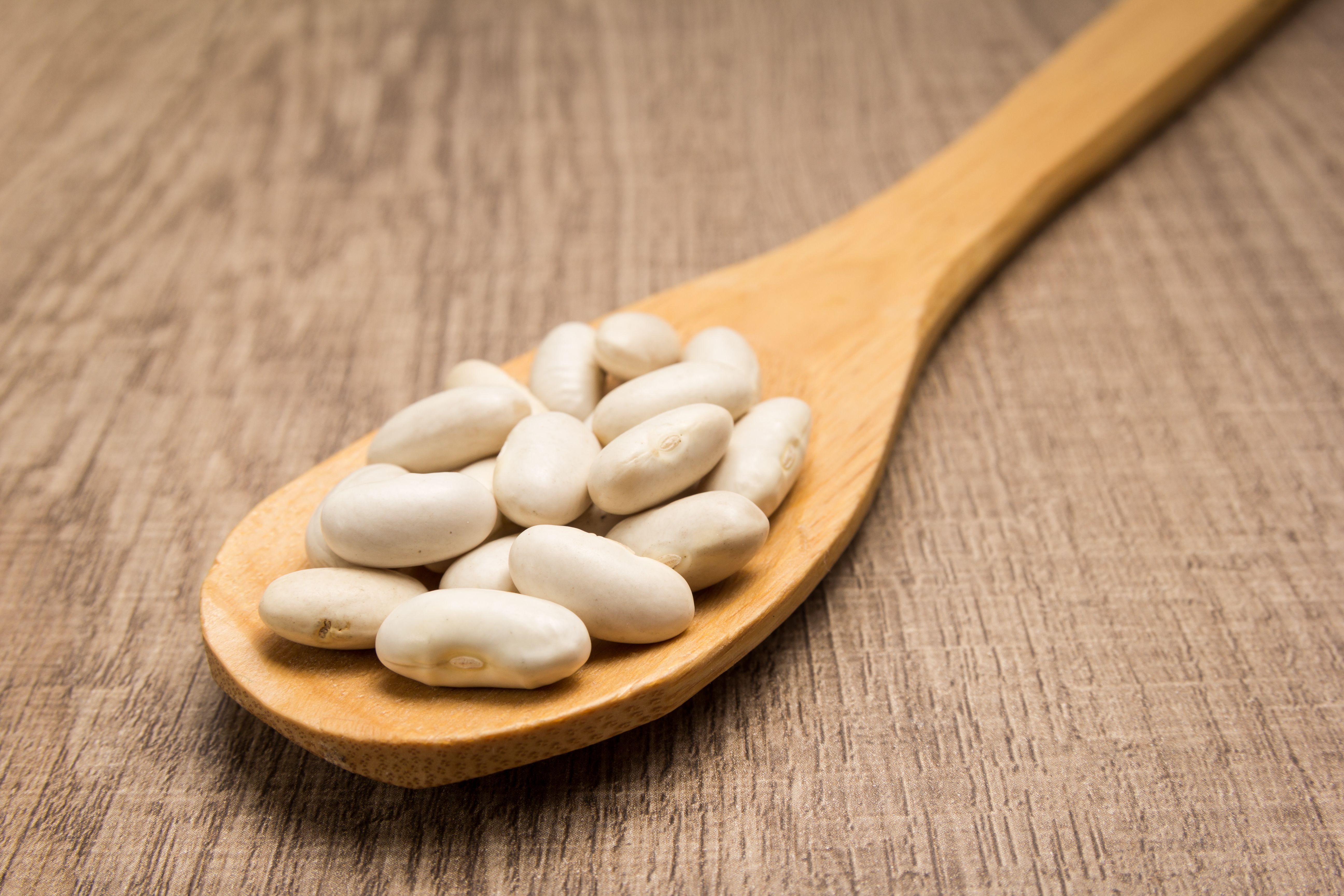 Navy bean | Image credit: Vergani Fotografia – stock.adobe.com