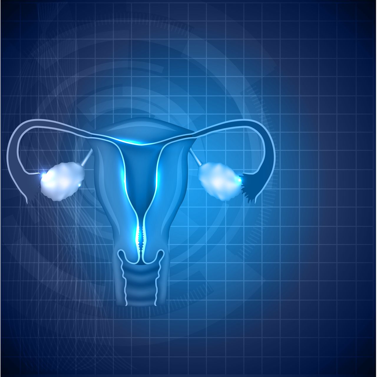 Image of ovaries and uterus