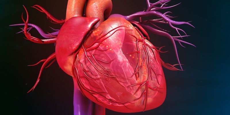 heart graphic