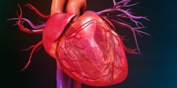 image of a heart