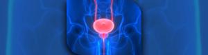 Adding Radioligand Therapy Pluvicto to SOC Cuts Risk of Prostate Cancer Progression or Death 28%, but How Many Doses?