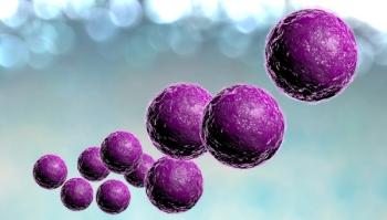 Purple staph bacteria