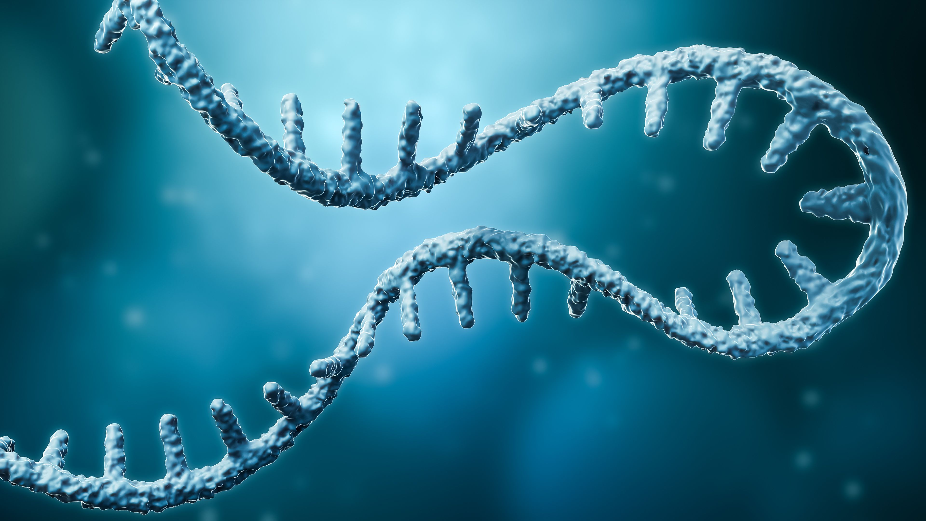 Lipopolymer-Delivered RNA Interference Shows Promise Against FLT3-Mutated AML | image credit: Matthieu - stock.adobe.com